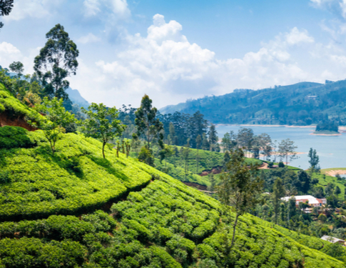 Sri Lanka: 7 questions answered